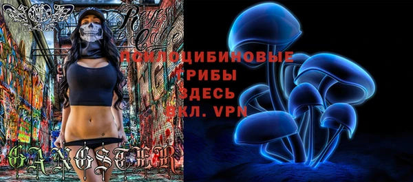 спайс Заволжье